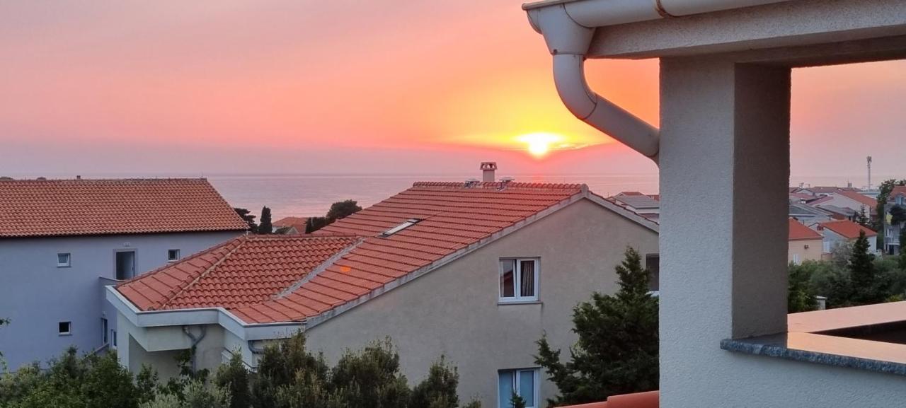 Florena نوفاليا المظهر الخارجي الصورة